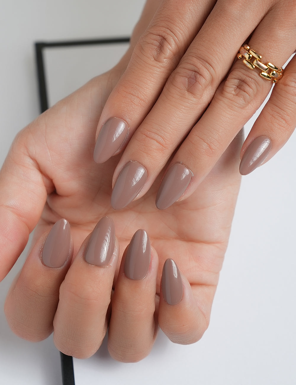 Taupe Chic 1111